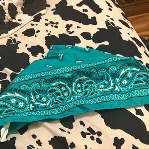 Teal Paisley Bandana